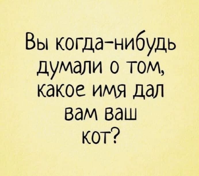 Вы когданибудь думали о том какое имя дал вам ваш кот