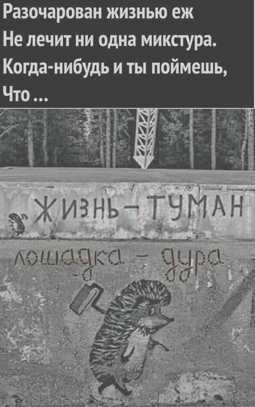 Разочарован жизнью еж Не лечит ни одна микстура Когда нибудь и ты поймешь