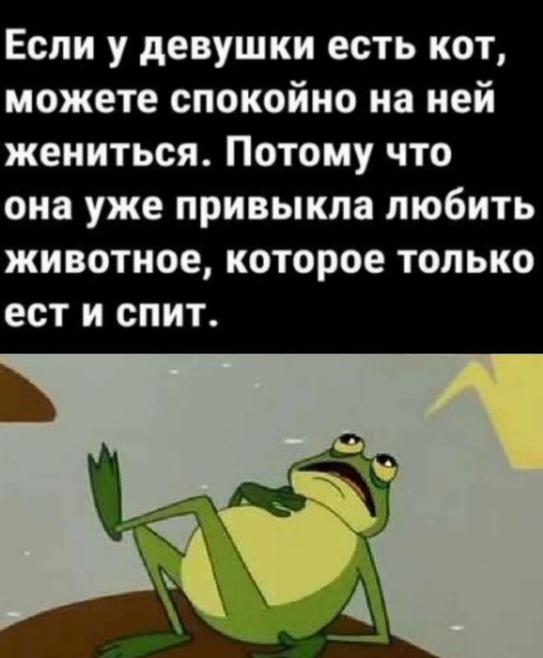 Если у девушки есть кот можете спокойно на ней жениться Потому что она уже привыкла любить животное которое только ЕСТ И СПИТ