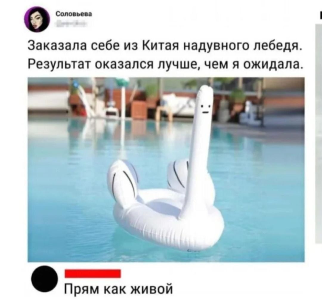 О Эаказапа себе из Китая надувного лебедя Результат оказался лучшеА чем я ожидала прям как живой