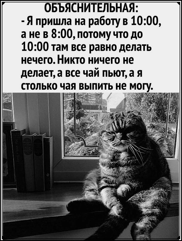 ОБЪЯСНИТЕЛЬНАЯ Я пришла на работу в 1000 а не в 800 потому что до 1000 там все равно делать нечего Никто ничего не делает а все чай пьют а я столько чая пить не могу