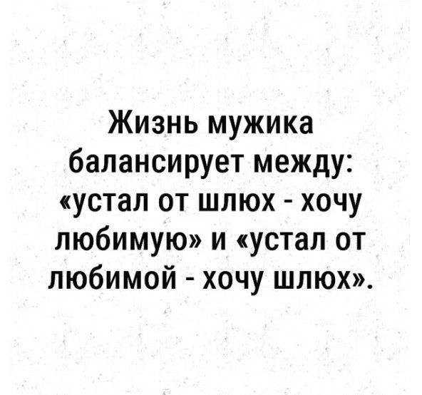 Жизнь мужика балансирует между устал от шлюх хочу любимую и устал от любимой хочу шлюх