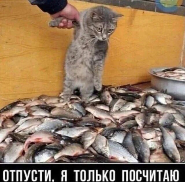 ПТПУ