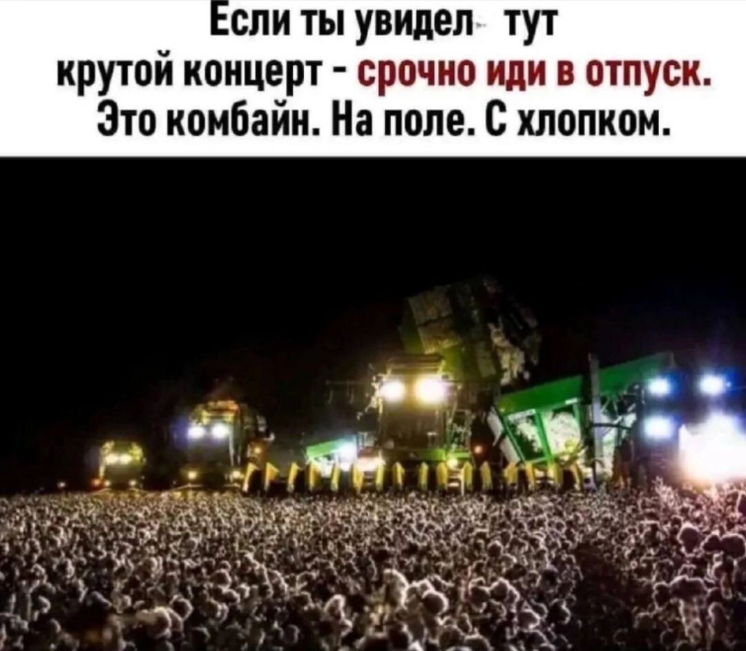 спи ты увидел тут крутой концерт срочно или в отпуск Зто комбайн На поле с хлопком