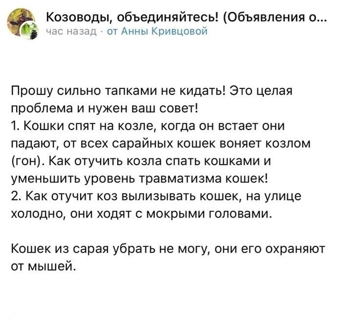 Козоводы объединяйтесь Объявления о стАниыКпивцовпй Прошу сильно тапками не кидать Это Целая проблема и нужен ваш совет 1 Кошки спят на козле когда он встает они падают от всех сарайных кошек воняет козпом гон Как отучить козла спать кошками и уменьшить уровень травматизма кошек 2 Как стучит коз вылизывать кошек на улице холодно они ходят с мокрыми головами Кошек из сарая убрать не могу они его ох