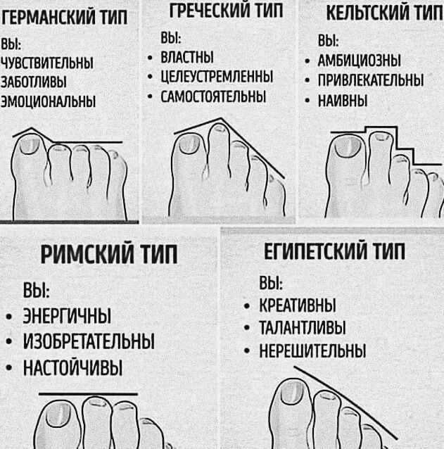 гермдискийтип ГРЕЧЕСКИЙШП квпьтскийтип вы ВЫ ВЫ чушвитыьиы ШТИЫ дмнишлозны зянптпивы ЦШЕУСММПШНЫ привпштвпьны змпципидпьны МЦГШЯТЁЛЬНЫ минны римский тип Египетский тип ВЫ ВЫ кгшивны ЭНЕРГИЧНЫ тдлднтливы ИЗОБРПАТЕЛЬНЫ _ неггшипльны НАПОЙЧИВЫ ЧТЗ