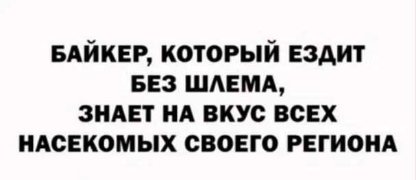 ыйкн который Ездит ввз шлшд зияет НА вкус всех ндснкомых своего гвгионд