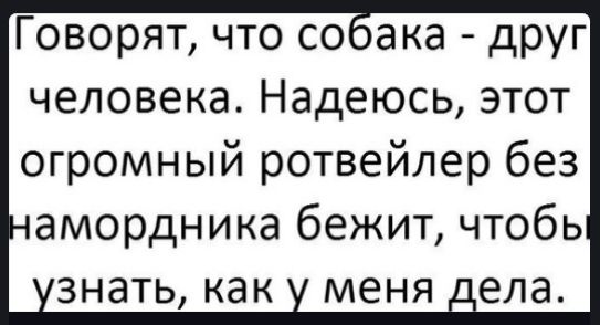 Говорят что соака друг человека Надеюсь этот огромный ротвейлер без амордника бежит чтобь знать как меня _ела