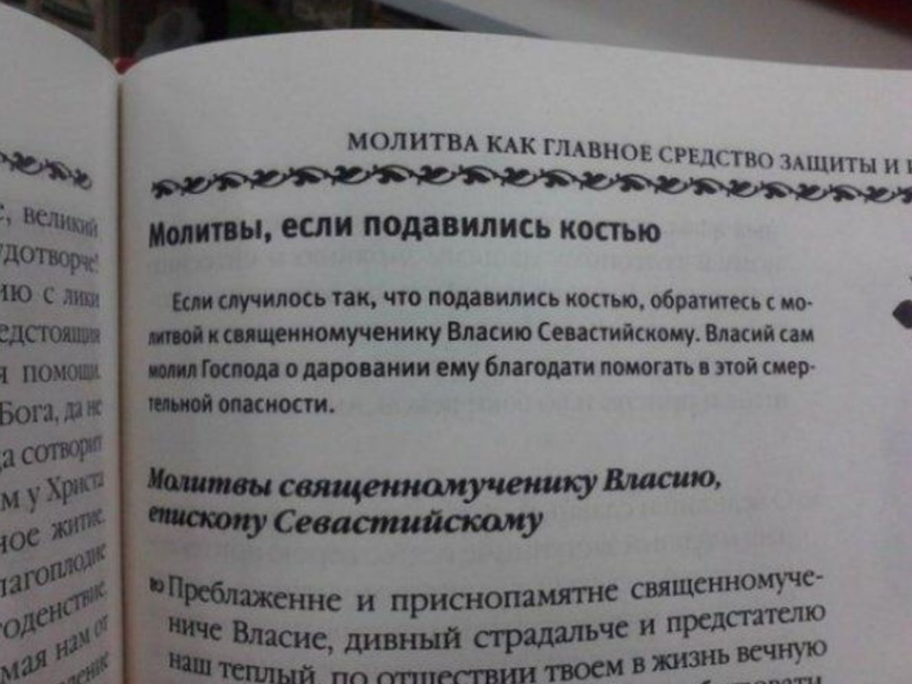 55 пт ши мопитвд Кдкілшнпиим шииты ши под мис костью шип мили понимкьшипічтнп пицца питии пикшищ _виштщшлшп Ми тащ