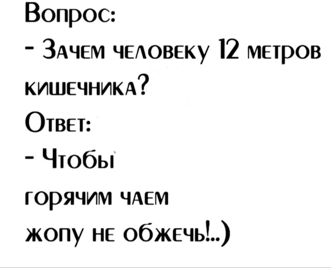 Вопрос ЗАЧЕМ чыовску 12 метров кишечним Ответ Чтобы горячим ЧАЕМ жопу не обжечь