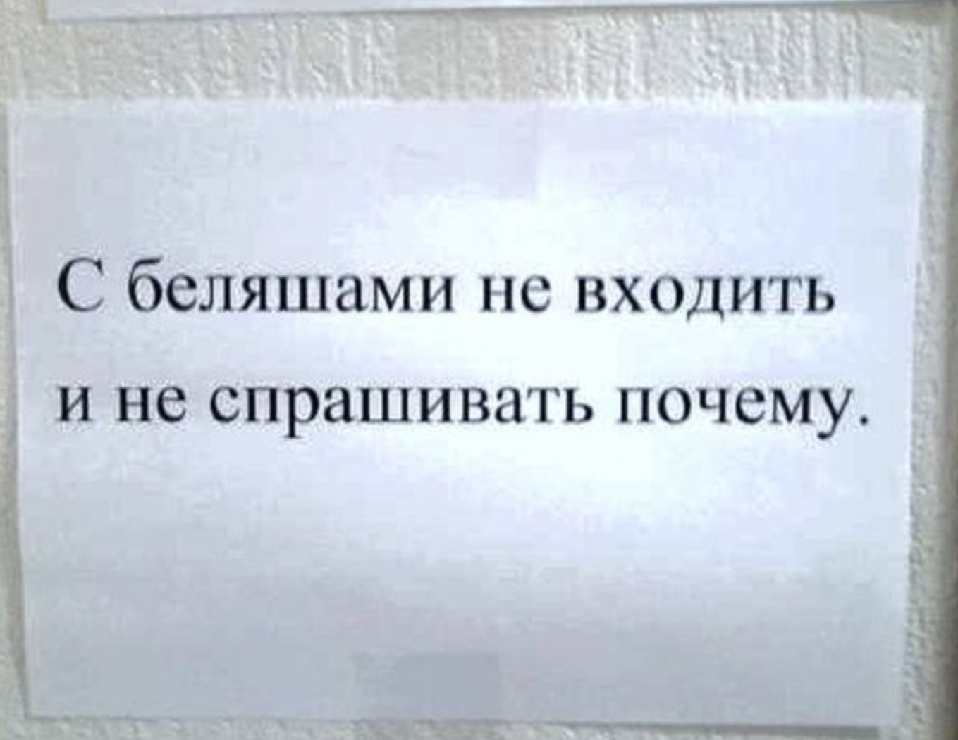 С беляшами не входить и не спрашивать почему