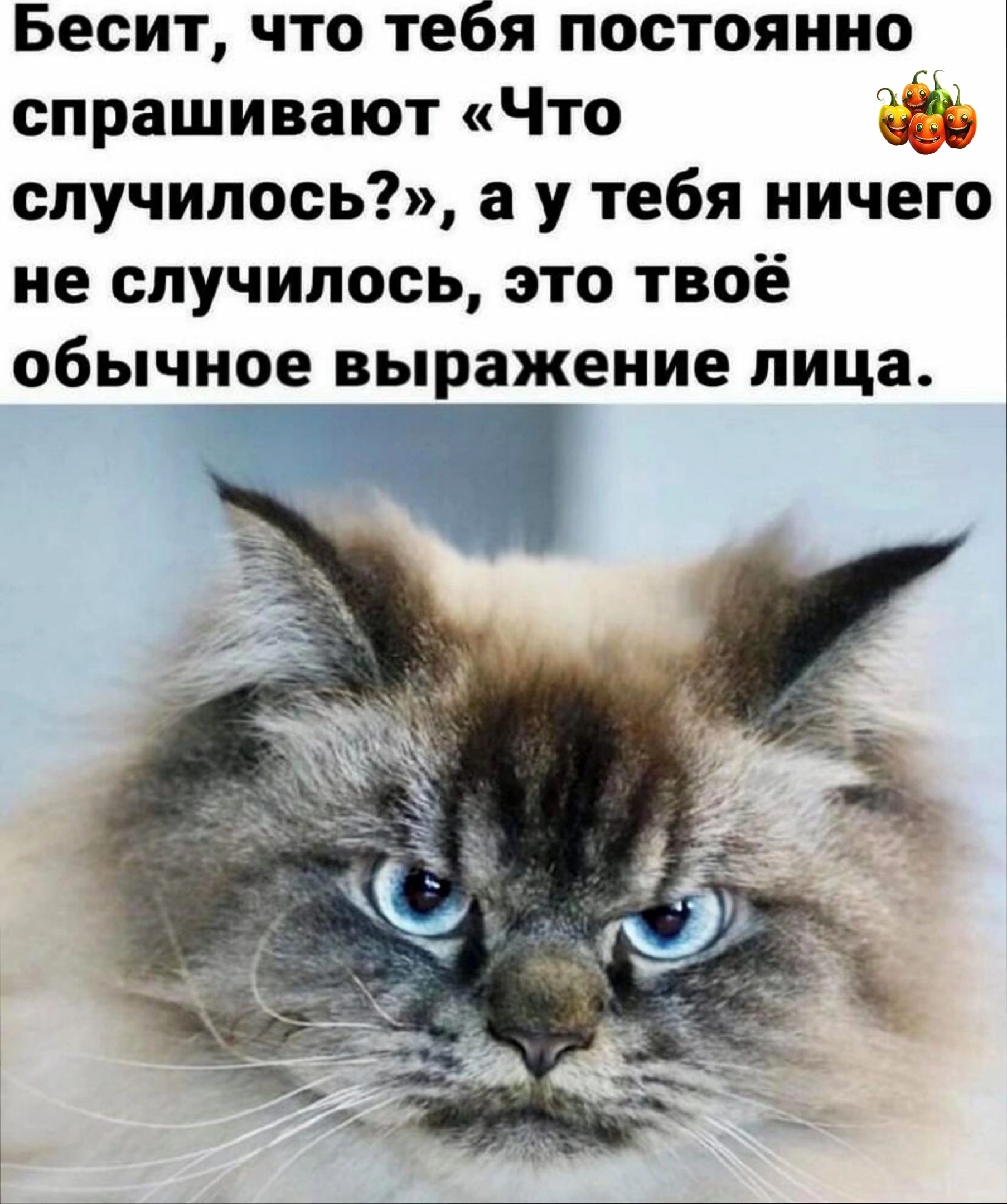 Бесит что тебя постоянно спрашивают Что случилось а у тебя ничего не случилось это твоё обычное выражение лица