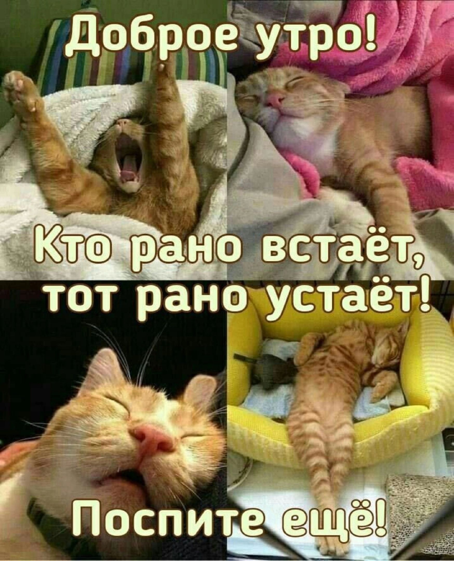 ЗЁЭЁЁ б 1 до тот рано Устаёт