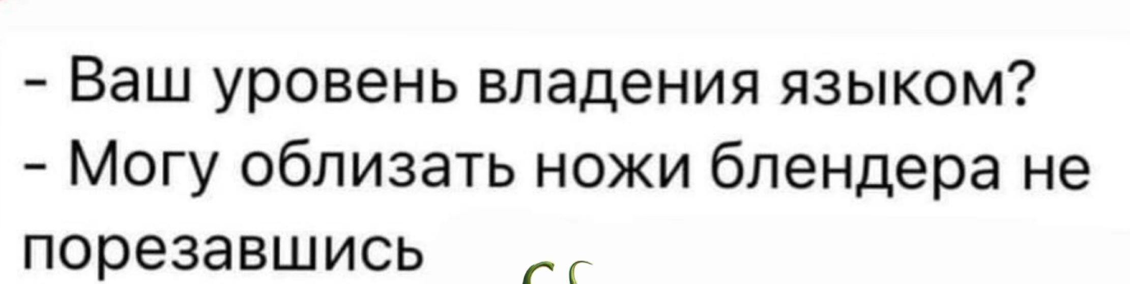 Ваш уровень владения языком Могу обливать ножи блендера не порезавшись