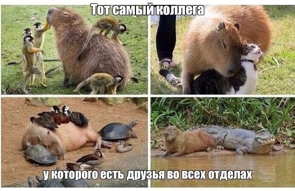 нптоцЁю аргинин ш вп ни пишиш