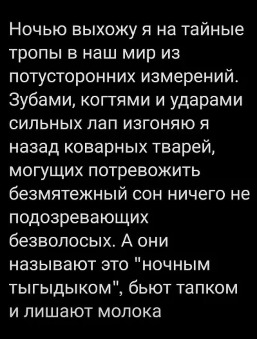 Ночью выхожу я на тайные тропы в наш мир из потусторонних измерений 3убами когтями и ударами сильных лап изгоняю я назад коварных тварей могущих потревожить безмятежный сон ничего не подозревающих безволосых А они называют это ночным тыгыдыком бьют тапком и лишают молока