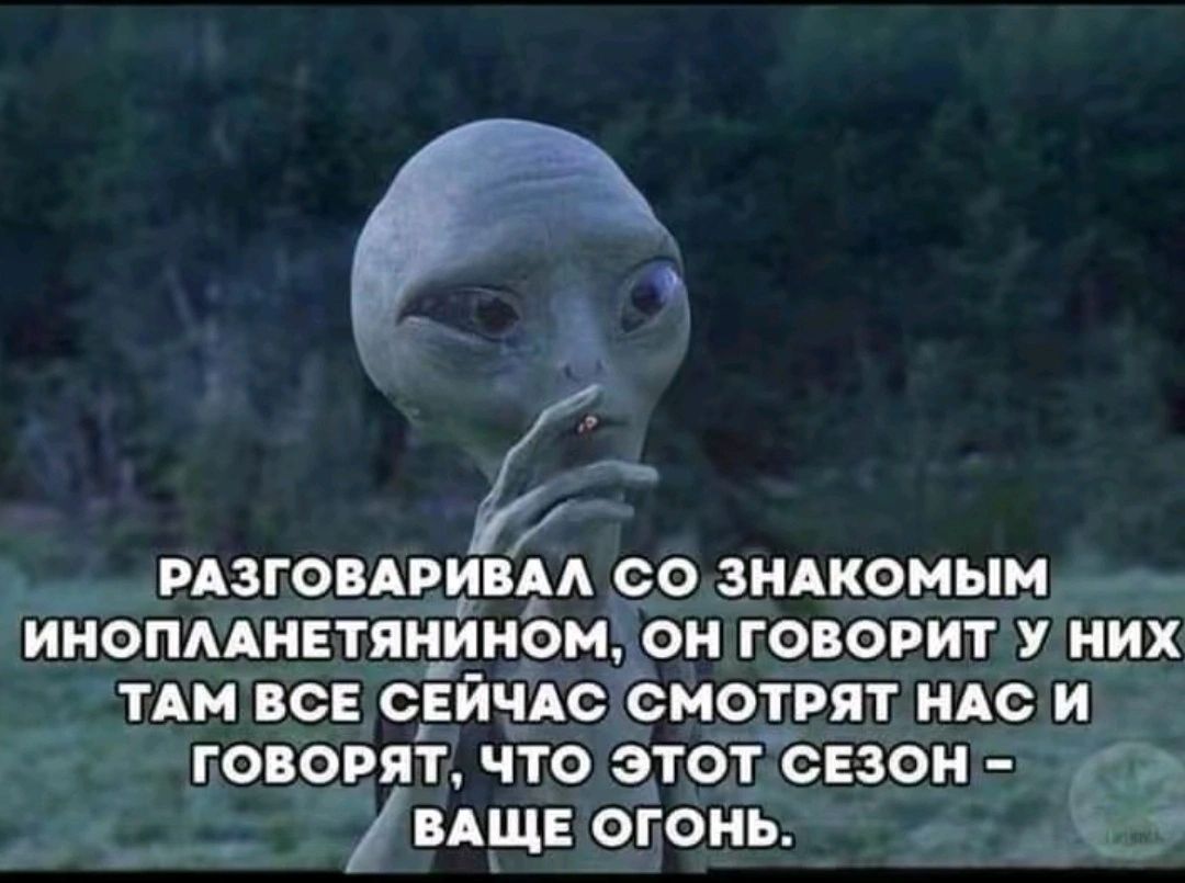 мзгомри А со зндкомым ииопмнвтянином он говорит у них ТАМ все сёйчдс смотрят ндс и говорят что этот сезон __ ВАЩЕ огонь к _