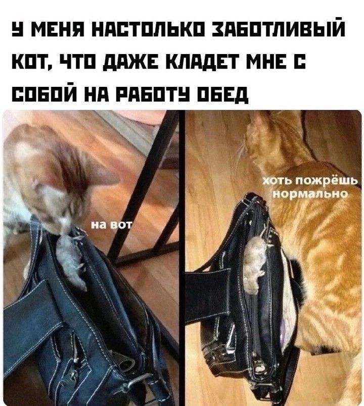 и МЕНЯ ШШТПЛЫШ ЗПЕПТПИВЫЙ КПТ ЧТП ддЖЕ КЛМЕТ МНЕ ППЕПЙ Нд РПЕПТН ПЕЕд ть пожрёшь _ Гармаш ио