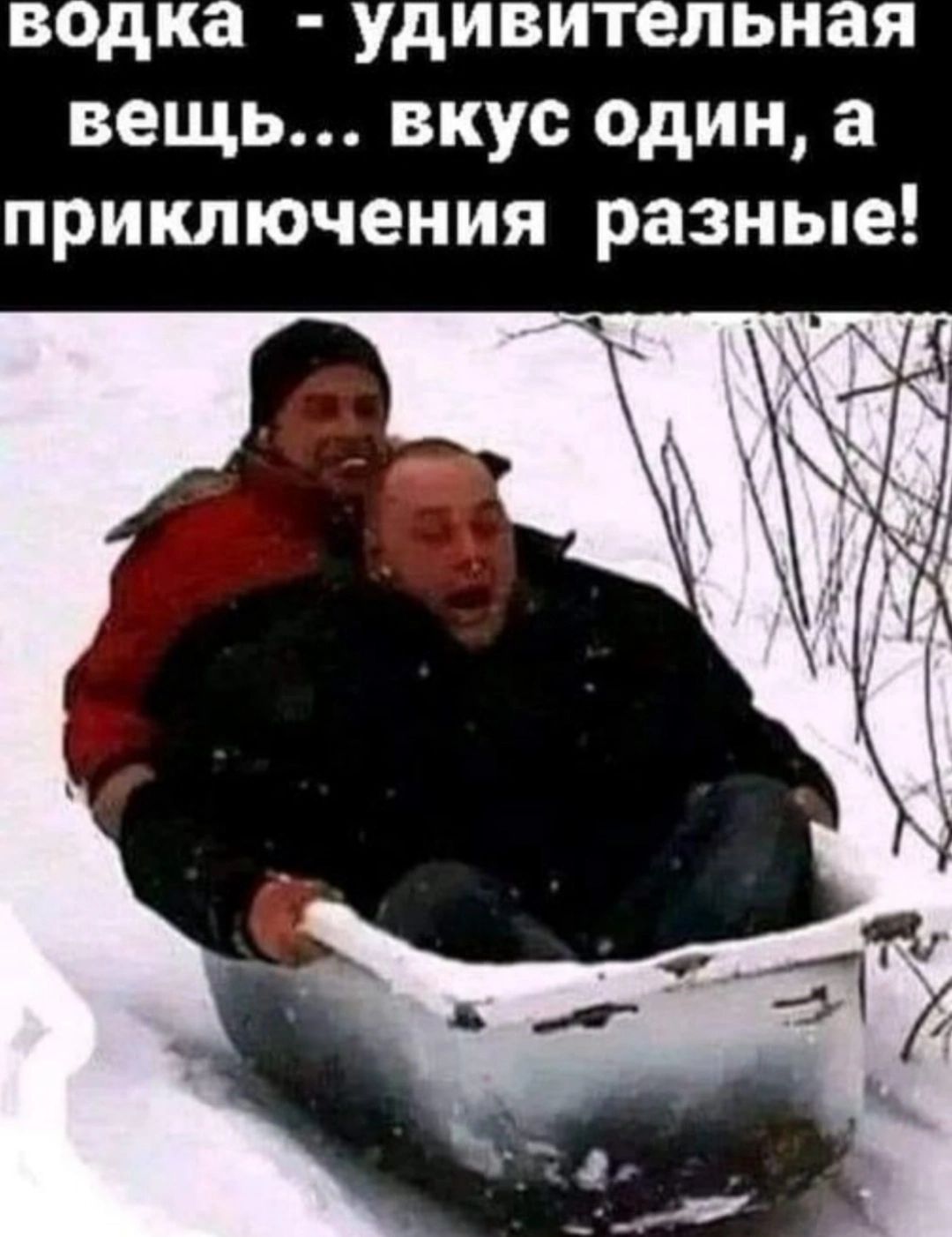 водка удивительная вещь вкус один а приключения разные