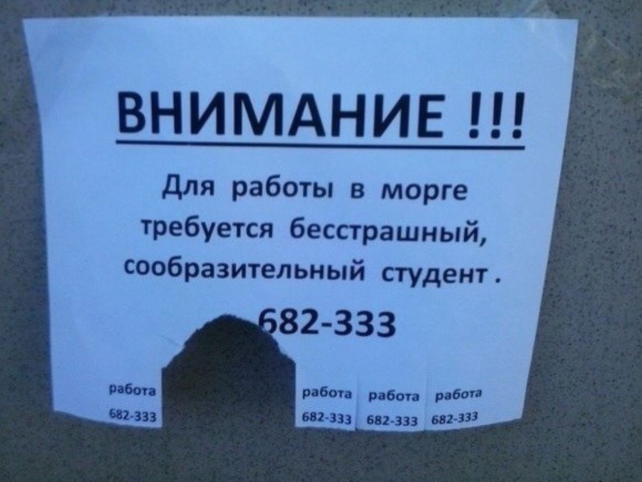 ВНИМАНИЕ для работы в морге Уребуется бесстрашный спобразительиый студент шт
