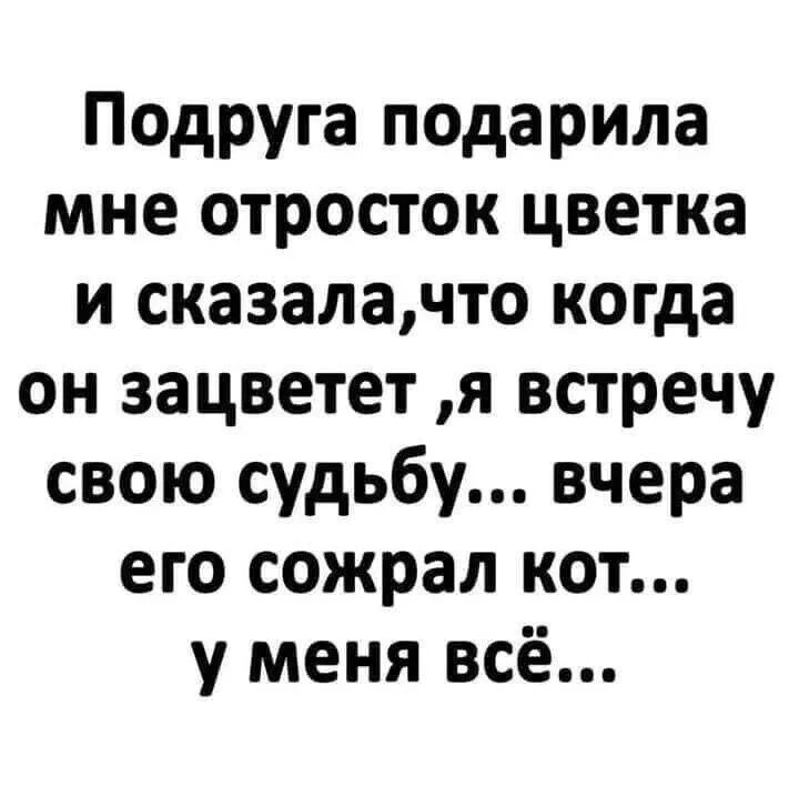 Подруга подарила мне отросток цветка и сказалачто когда он зацветет я встречу свою судьбу вчера его сожрал кот у меня всё