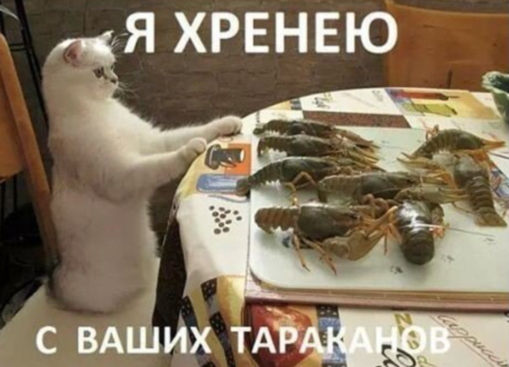ож Я ХРЕНЕЮ