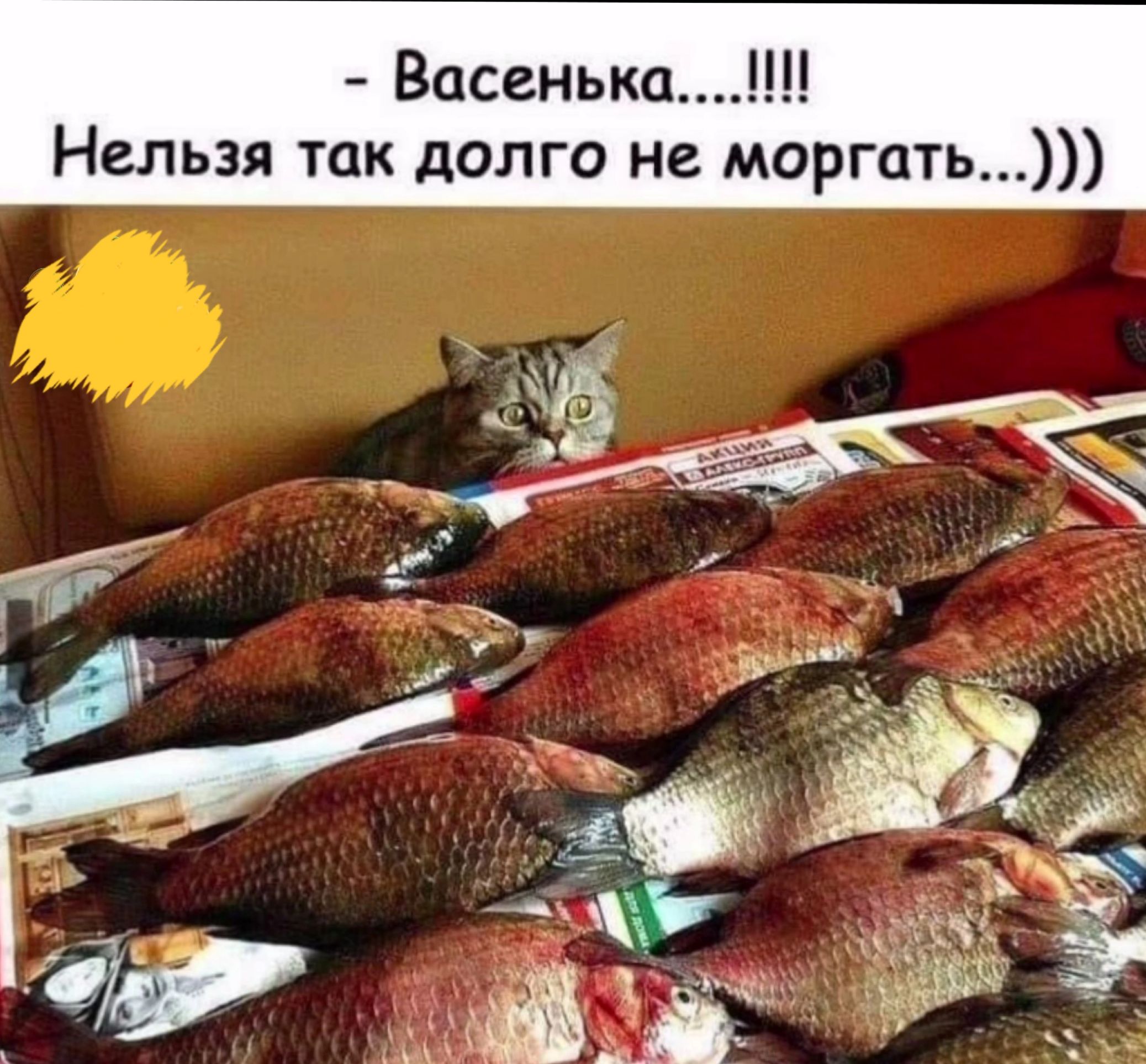 Васенька Нельзя так долго не моргать