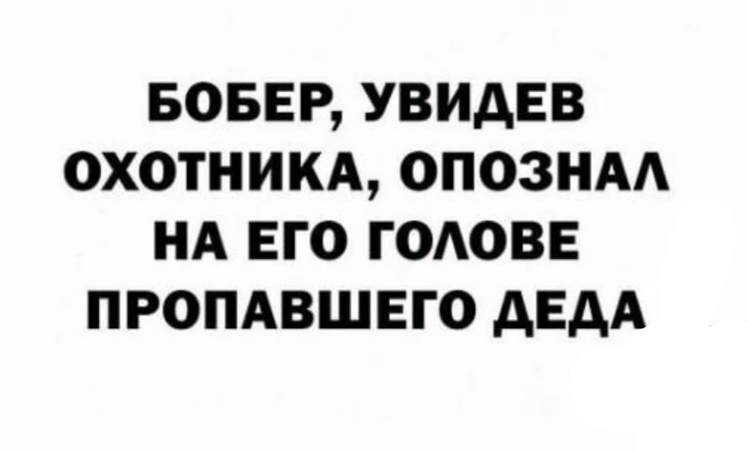 БОБЕР УВИАЕВ ОХОТНИКА ОПОЗНАА НА ЕГО ГОАОВЕ ПРОПАВШЕГО АЕДА