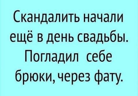 Скандалить начали ещё в день свадьбы Погладил себе брюки через фату