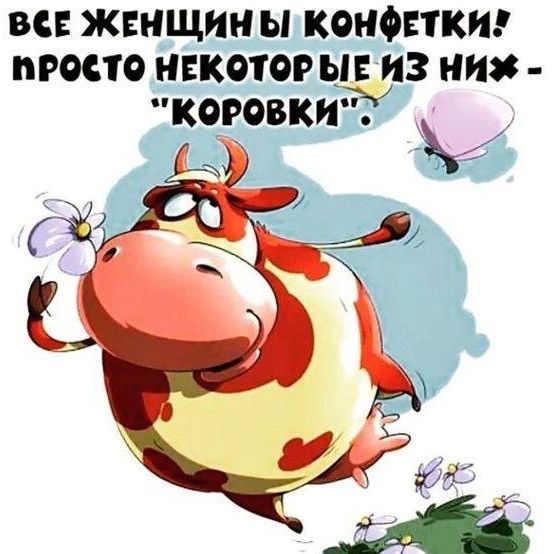 и жнищин ы конфетти проно нетто ы из них коговки