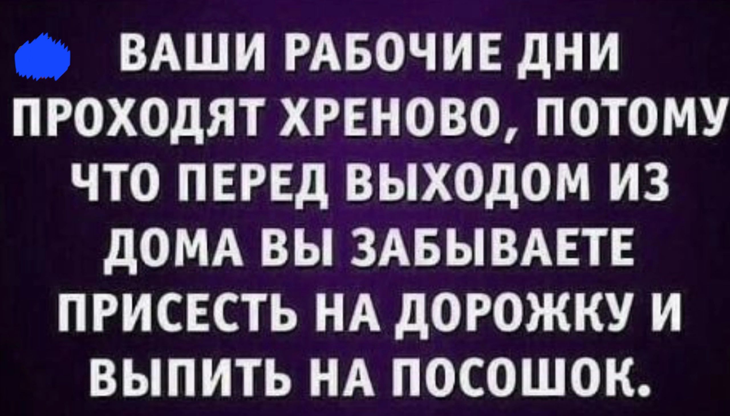 ВАШИ РАБОЧИЕ дНИ ПРОХОДЯТ ХРЕНОВО ПОТОМУ ЧТО ПЕРЕД ВЫХОдОМ ИЗ дОМА ВЫ ЗАБЫВАЕТЕ ПРИСЕСТЬ НА дОРОЖКУ И ВЫПИТЬ НА ПОСОШОК