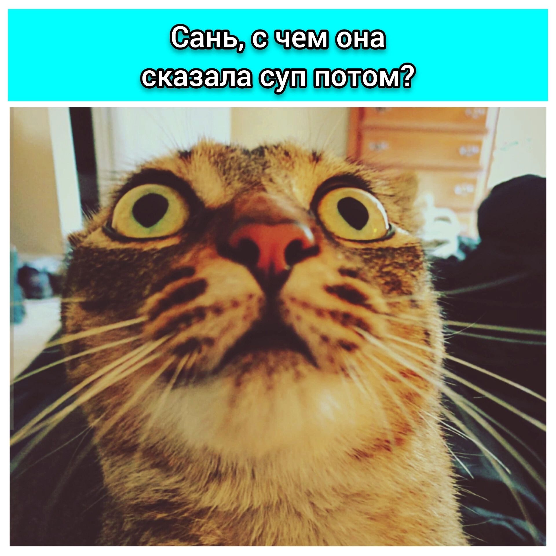 щещішеша