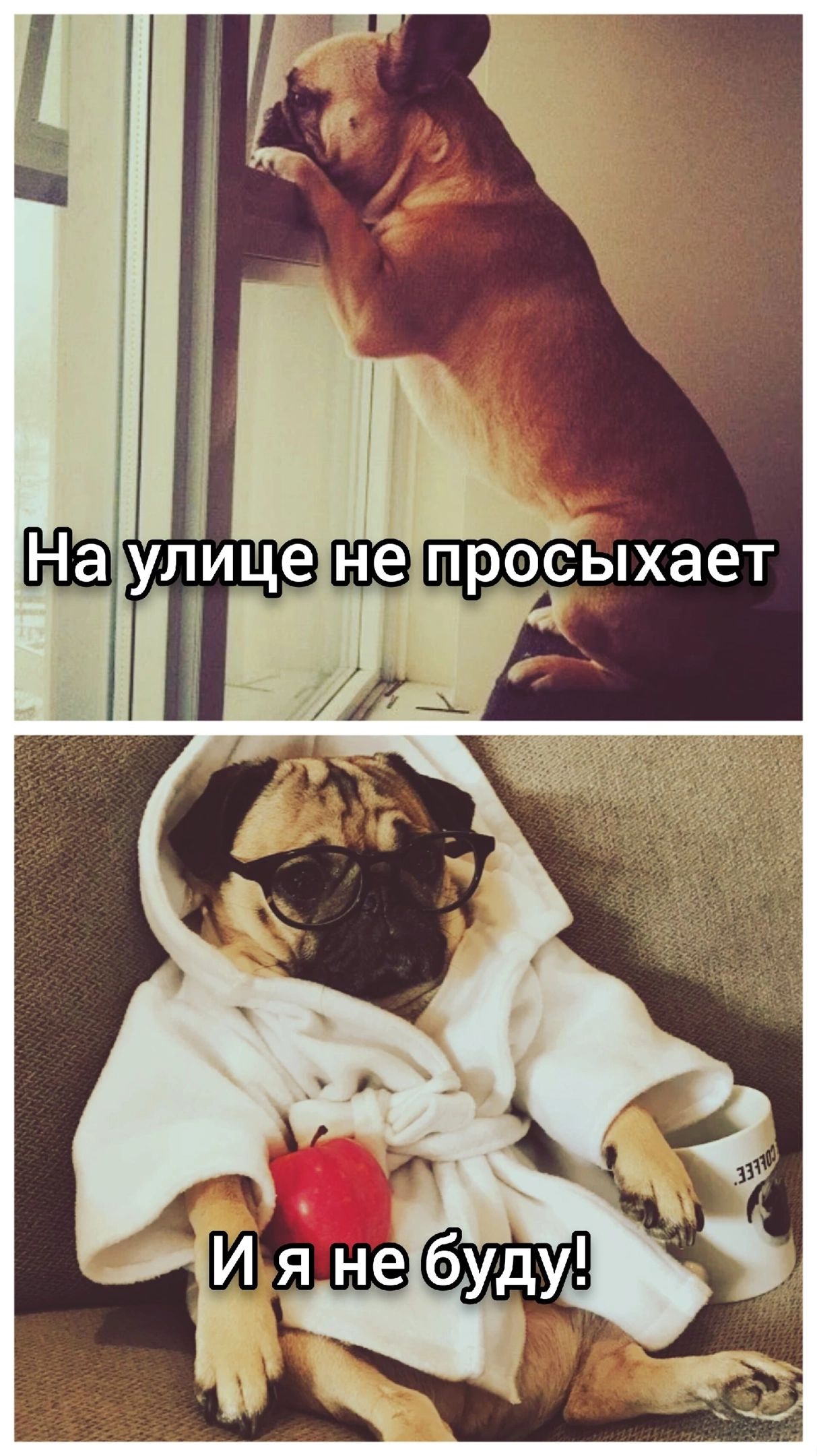 улицетнетпросыхает 73