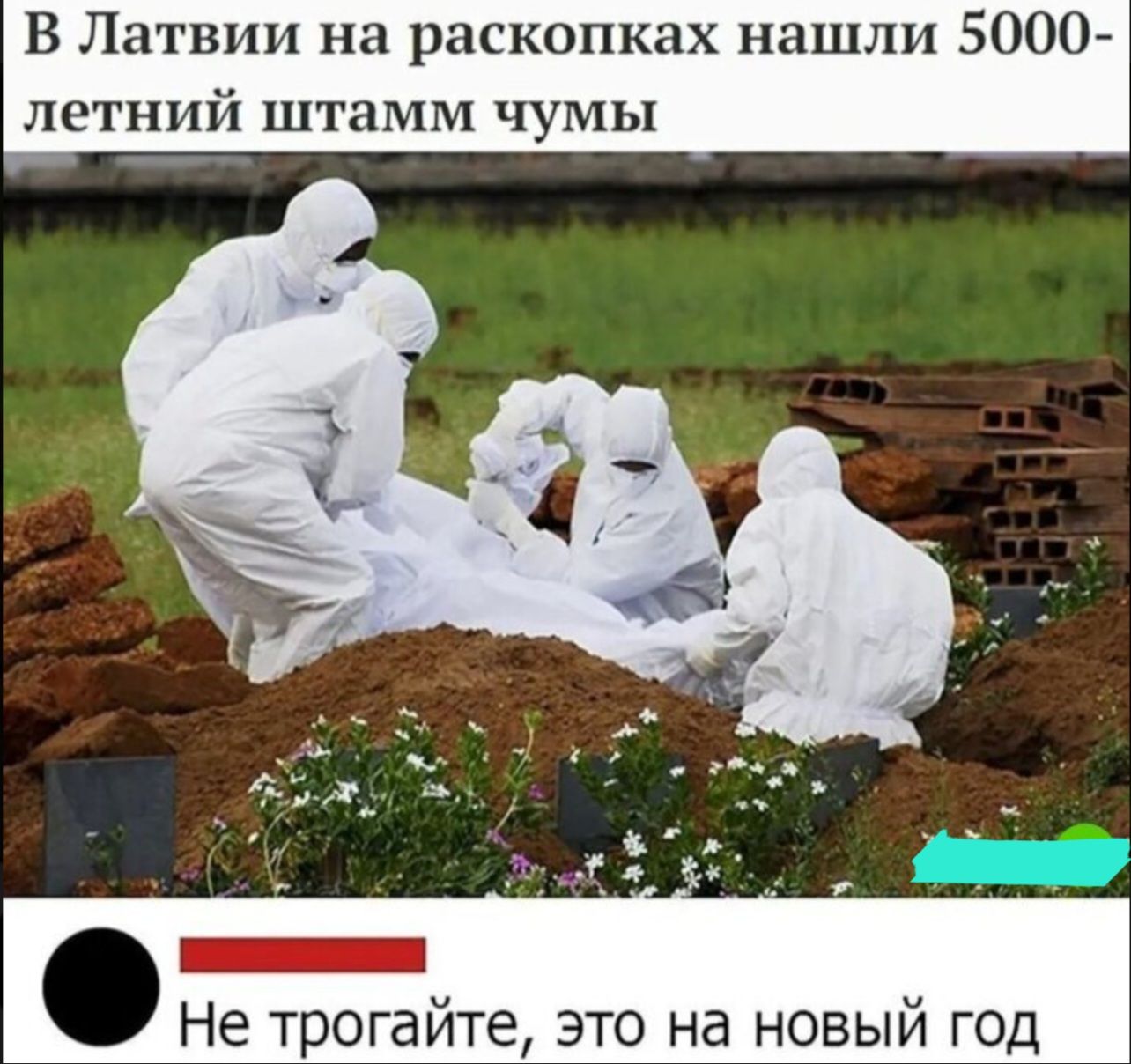 В Латвии на раскопках нашли 500 летнии штамм чумы и а трогайте это на новый д