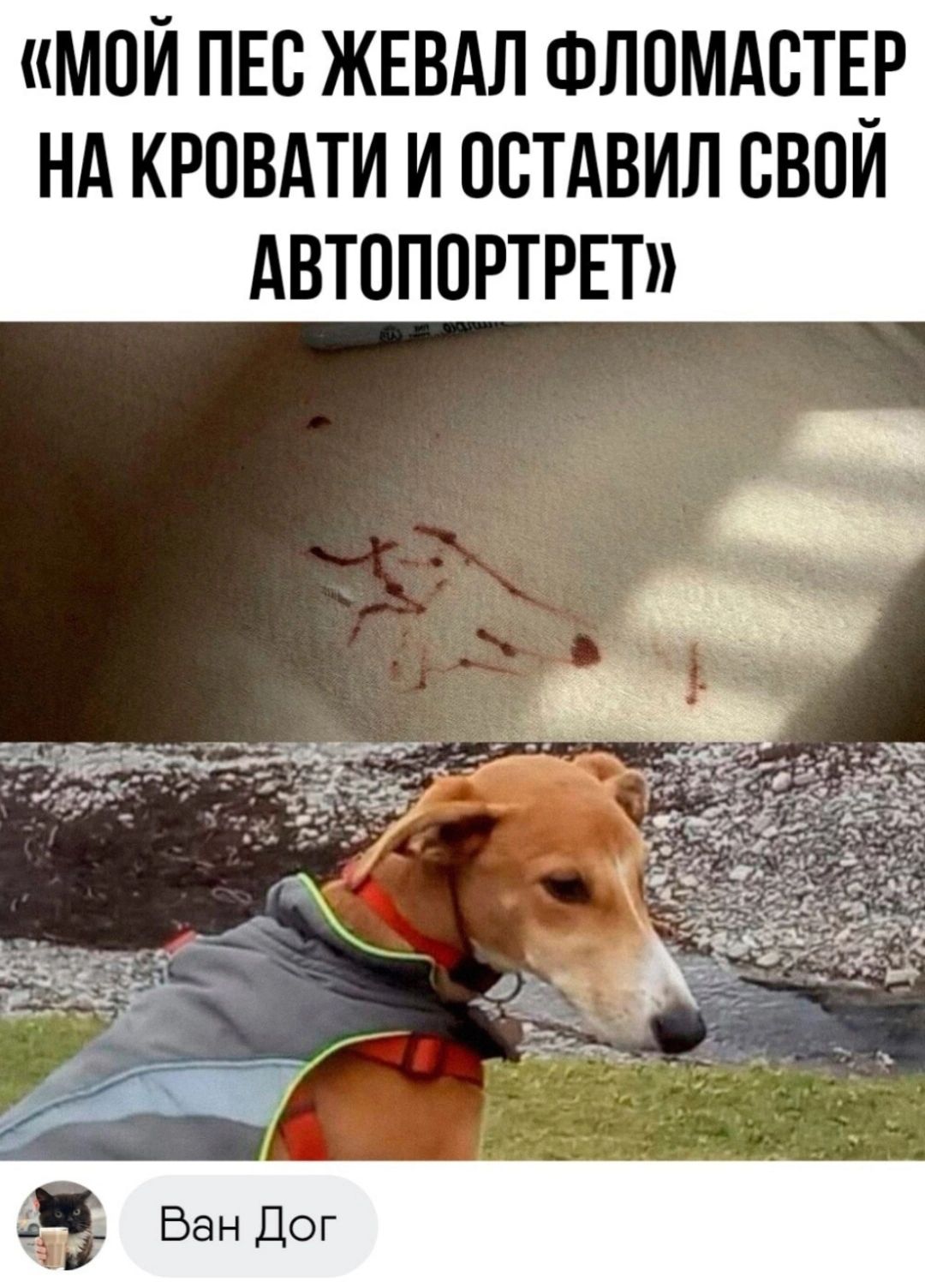 МОИ ПЕО ЖЕВАЛ ФЛОМАОТЕ_Р НА КРОВАТИ И ООТАВИЛ ОБОИ АВТОПОРТРЕТ