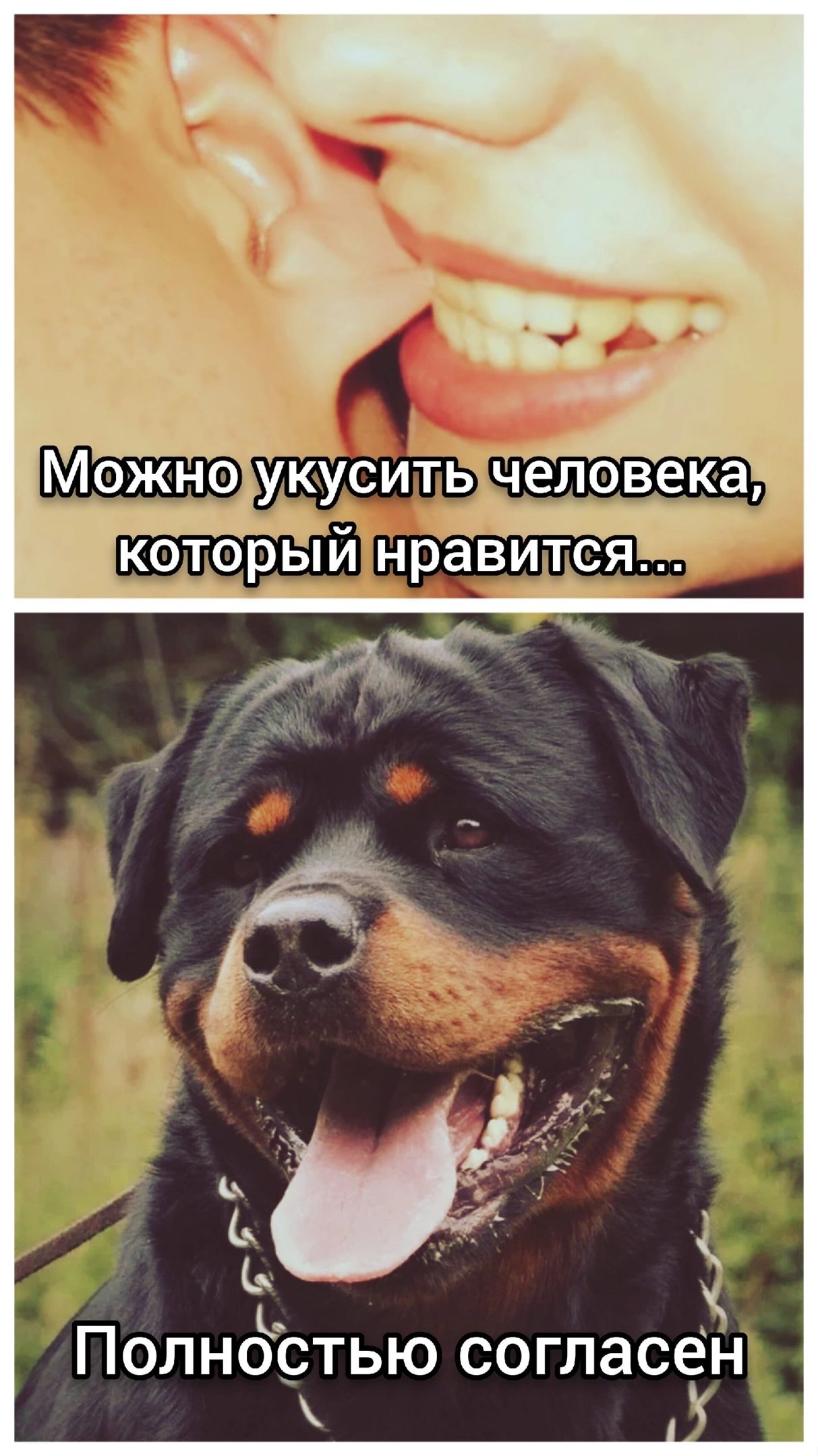 ь Полнёртью согласён