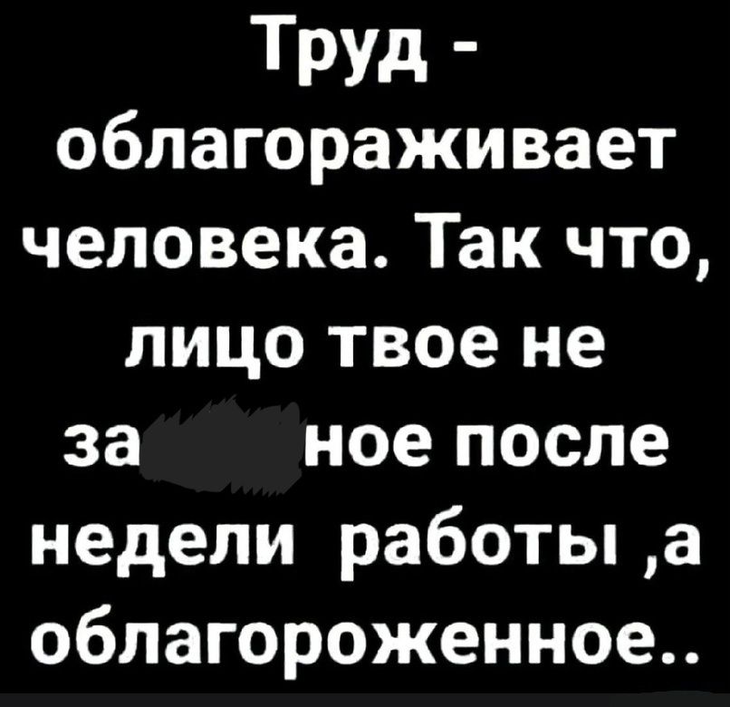 Труд облагораживает человека Так что лицо твое не за ное после недели работы а облагороженное