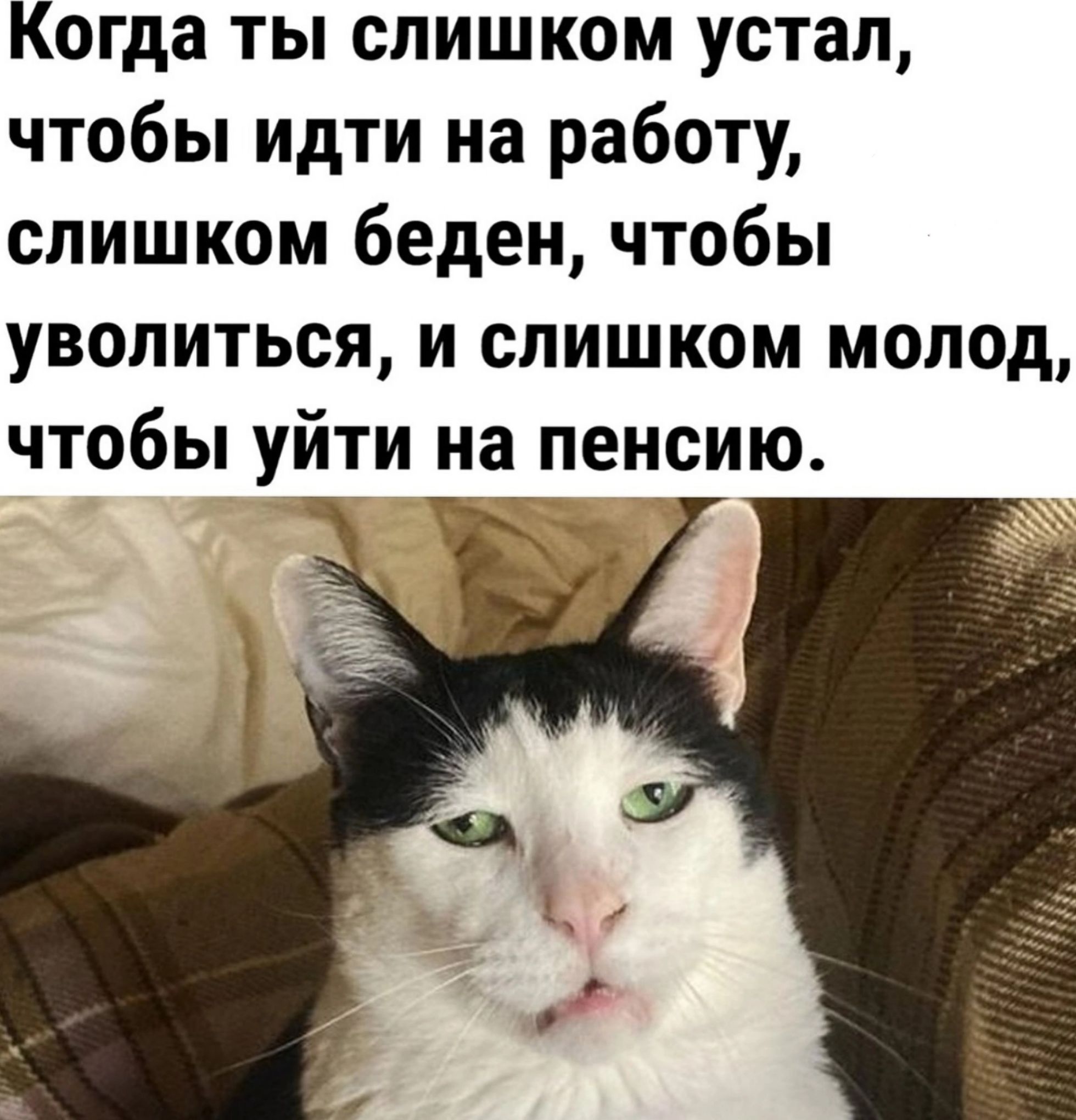 Когда ты слишком устал чтобы идти на работу слишком беден чтобы уволиться и слишком молод чтобы уйти на пенсию