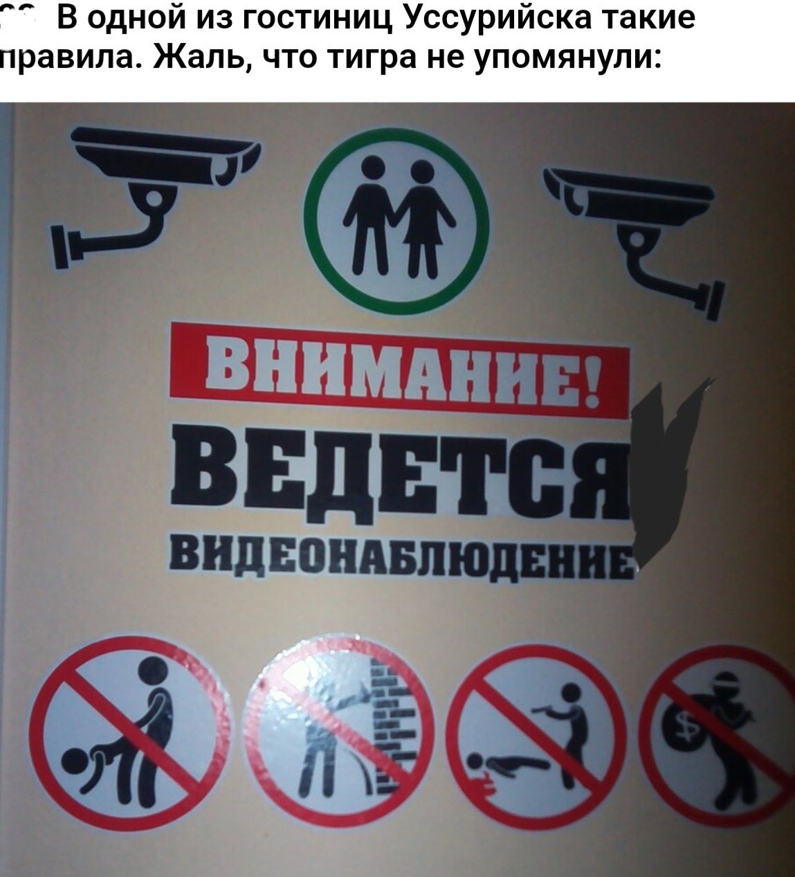 В одной из гостиниц Уссурийска такие правила Жаль что тигра не упомянули пЁ