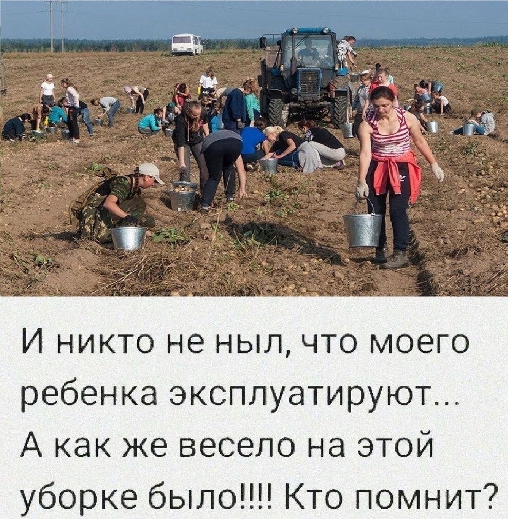 И никто не ныл что моего ребенка эксплуатируют А как же весело на этой уборке было Кто помнит