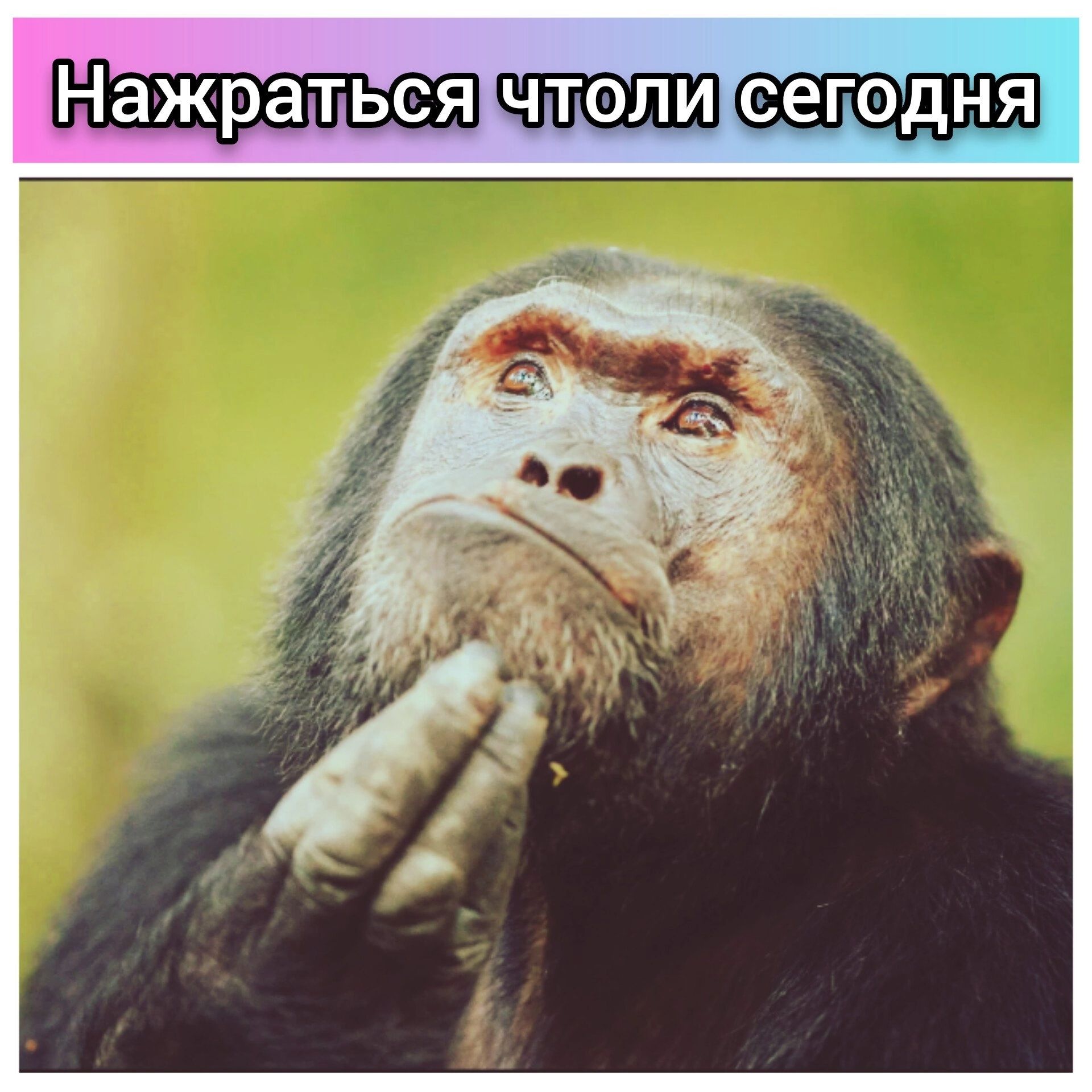 Нажратвсячтолисетодня