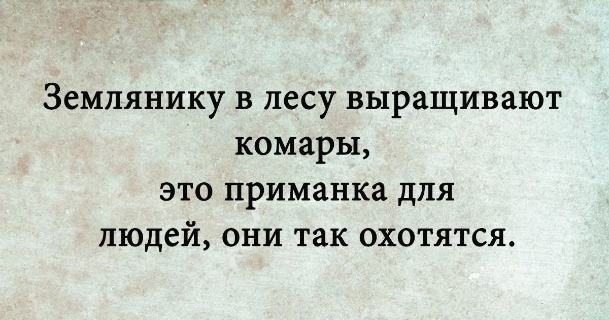 Землянику в лесу выращивают комары это приманка для людей они так охотятся