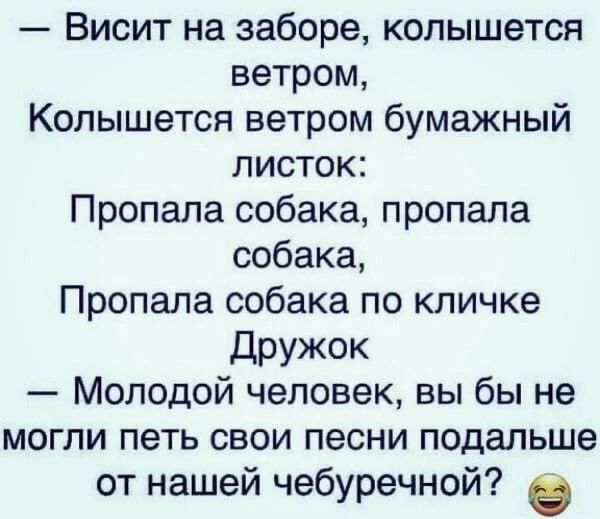 Висит на заборе колышется ветром Копышется ветром бумажный листок Пропала собака пропала собака Пропала собака по кличке дружок Молодой человек вы бы не могли петь свои песни подальше от нашей чебуречной