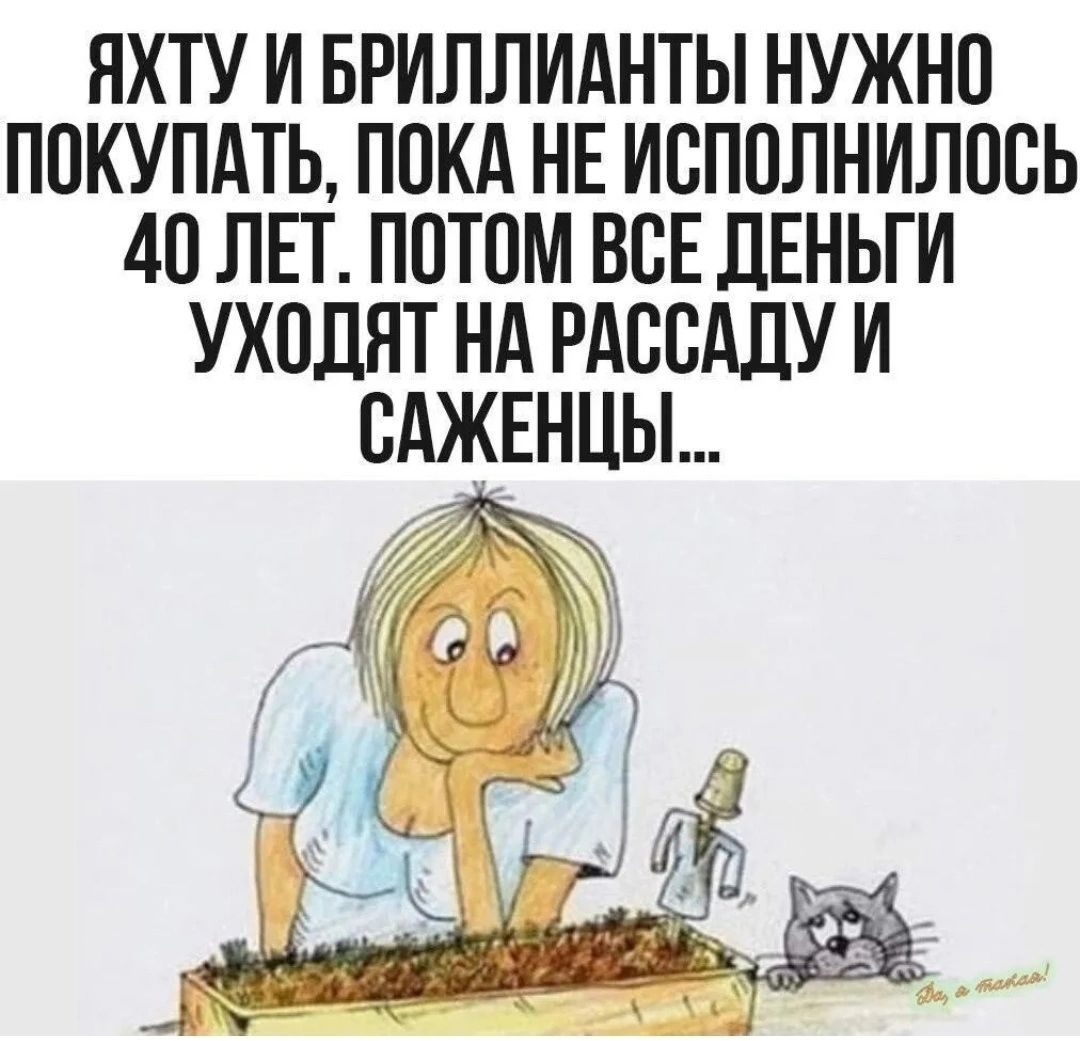 ЯХТУ И БРИЛЛИАНТЫ НУЖНО ПОКУПАТЬ ПОКА НЕ ИОПОЛНИЛООЬ 40 ЛЕТ ПОТОМ ВСЕ ДЕНЬГИ УХОЛНТ НА РАООАДУ И ОАЖЕНЦЫ