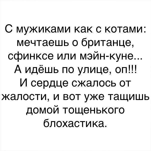 С мужиками как с котами мечтаешь о британце сфинксе или мэйн куне А идёшь по улице оп И сердце сжалось от жалости и вот уже тащишь домой тощенького блохастика