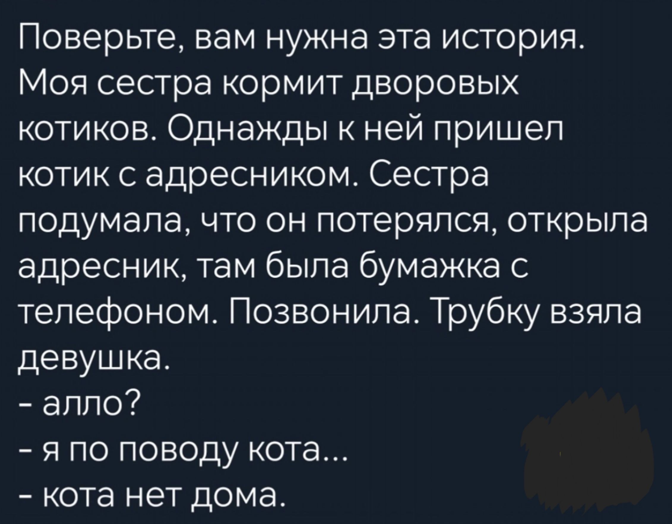 Поверьте нам нужна эта история Моя сестра кормит дворовых котиков Однажды ней пришеп котик с адресником Сестра подумала что он потерялся открыла адресник там была бумажка телефоном Позвонила Трубку взяла девушка аппо я по поводу кота кота нет дома