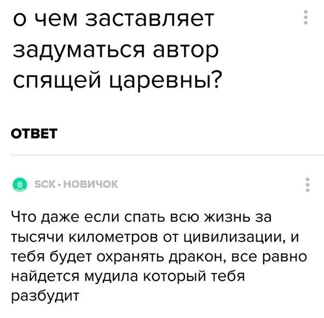 о чем заставляет задуматься автор спящей царевны ОТВЕТ Что даже если спать всю жизнь за тысячи километров от цивилизации и тебя будет охранять дракон все равно найдется мудила который тебя разбудит