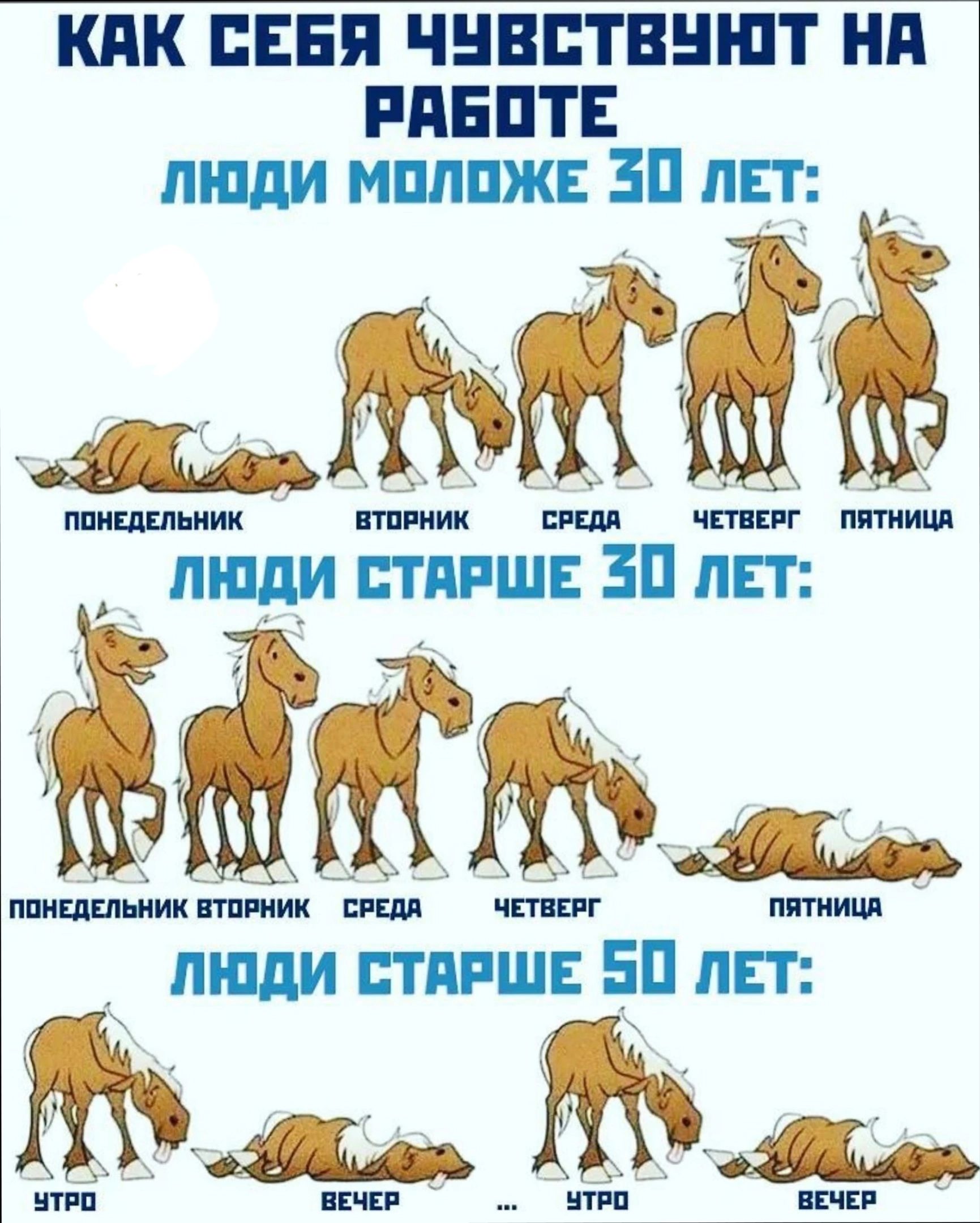 чцв ПППППП