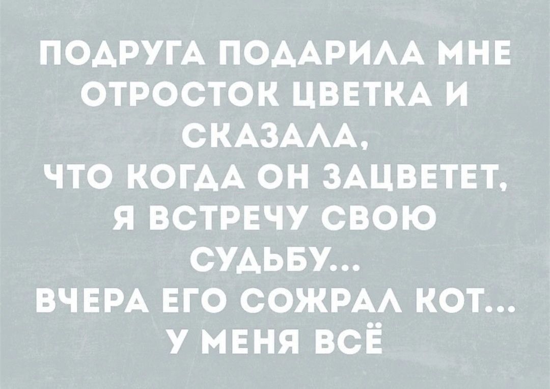 ПОАРУГА ПОААРИАА МНЕ ОТРОСТОК ЦВЕТКА И СКАЗААА ЧТО КОГДА ОН ЗАЦВЕТЕТ Я ВСТРЕЧУ СВОЮ ОУАЬБУ ВЧЕРА ЕГО ООЖРАА КОТ У МЕНЯ ВСЁ