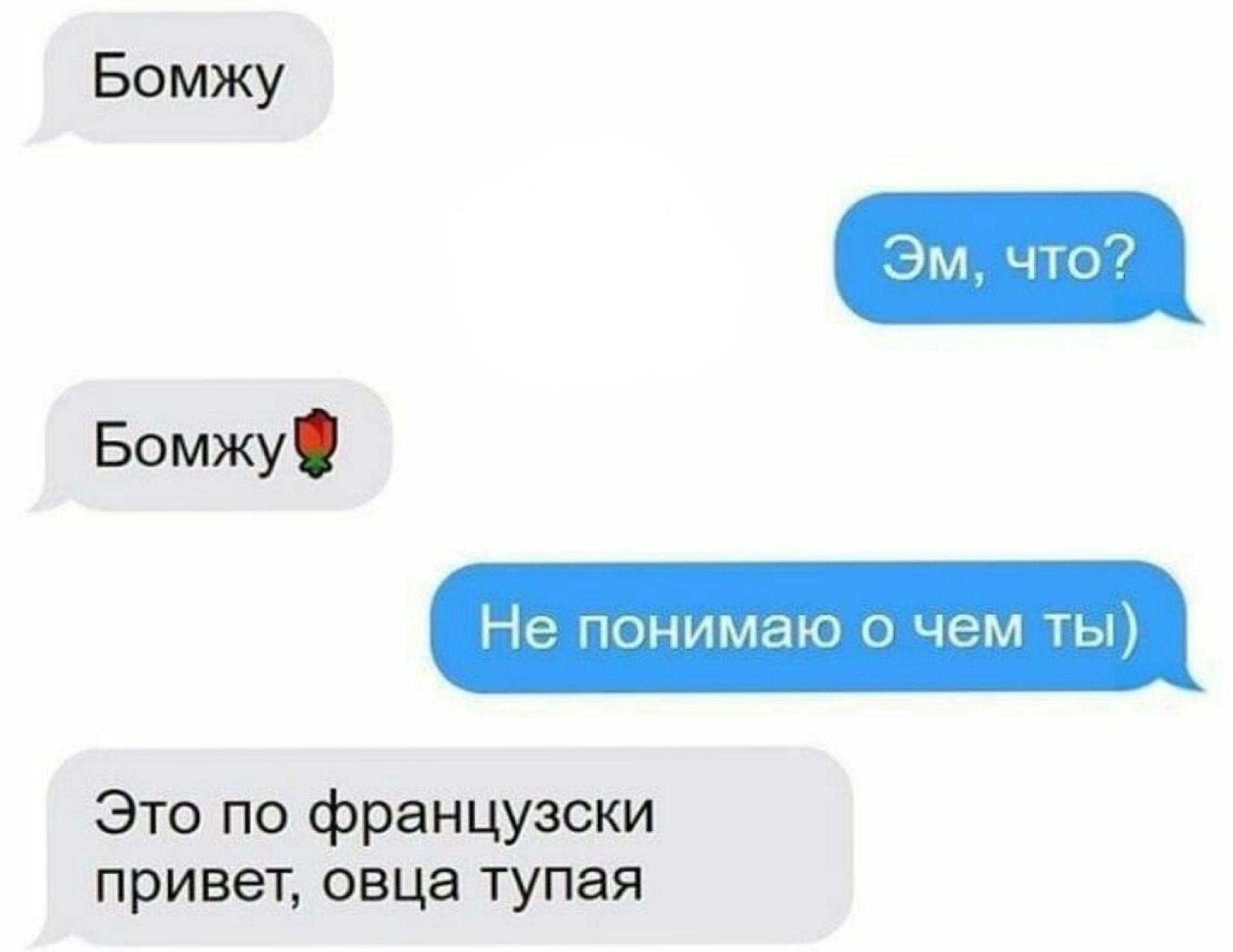 дм что Бомжу понимаю чем Тьн Это по французски привет овца тупая